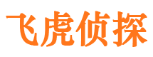 孝感婚外情调查取证